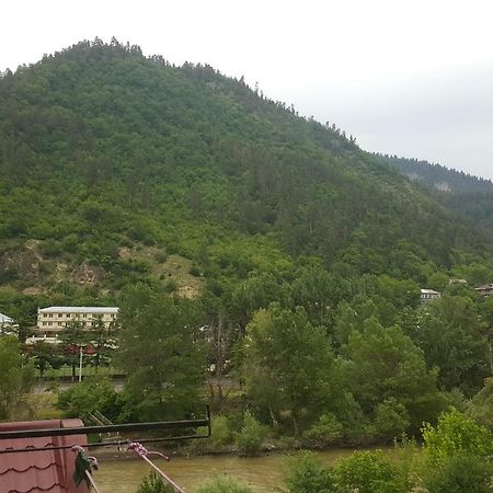 Karlsson Borjomi Apartment. Εξωτερικό φωτογραφία